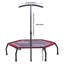 Freeport Park ft Hexagon Backyard Trampoline-61963648