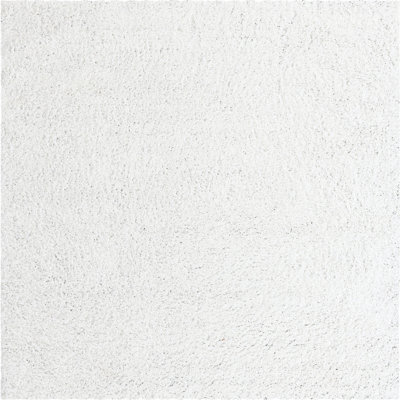 Indoor Rug