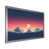 Silver Single Picture Framed