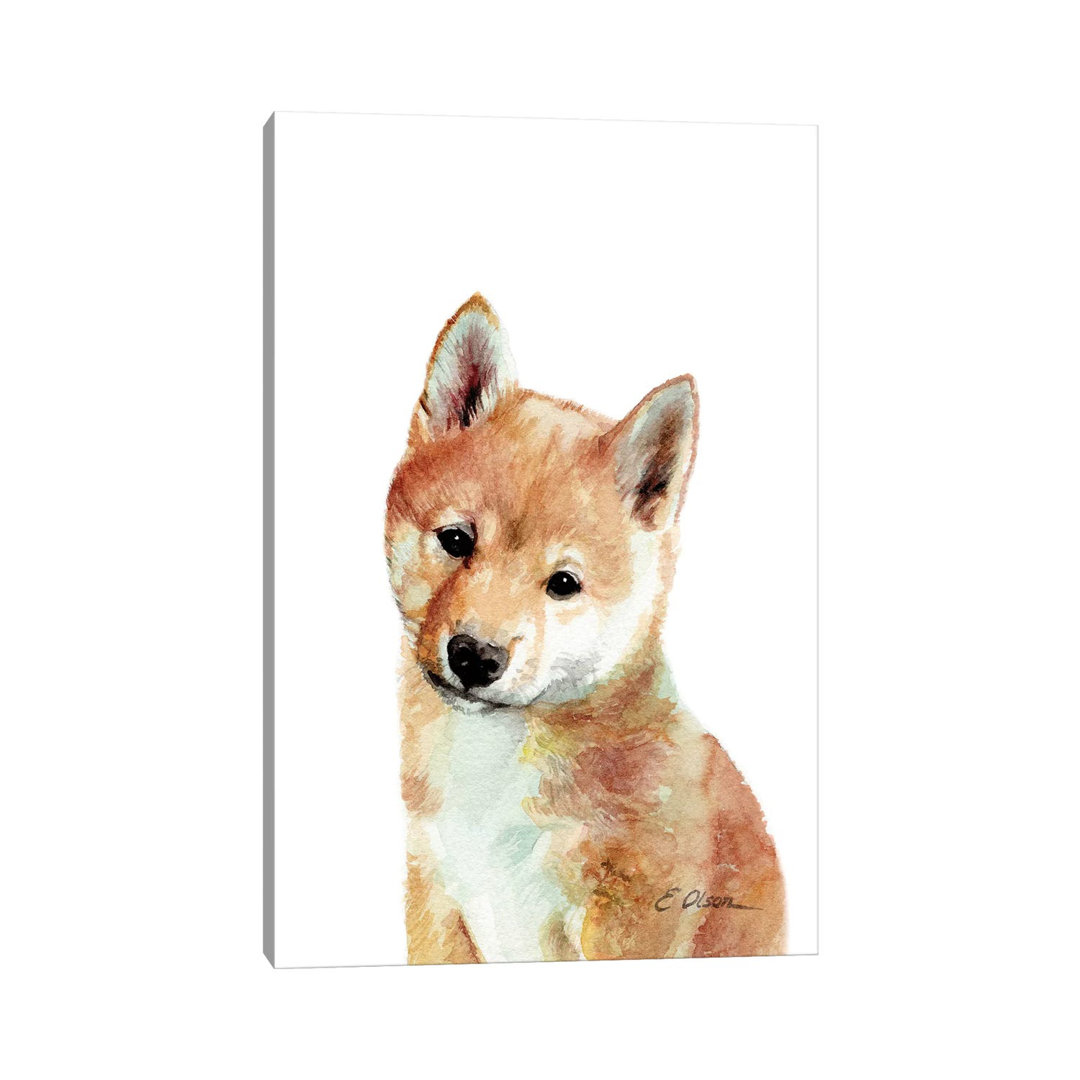 Shiba Inu Puppy - Wrapped Canvas Photograph