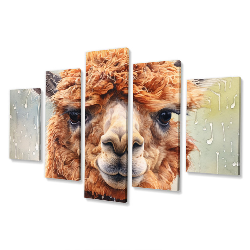 Graceful Alpaca I - Animals Canvas Print - 5 Panels