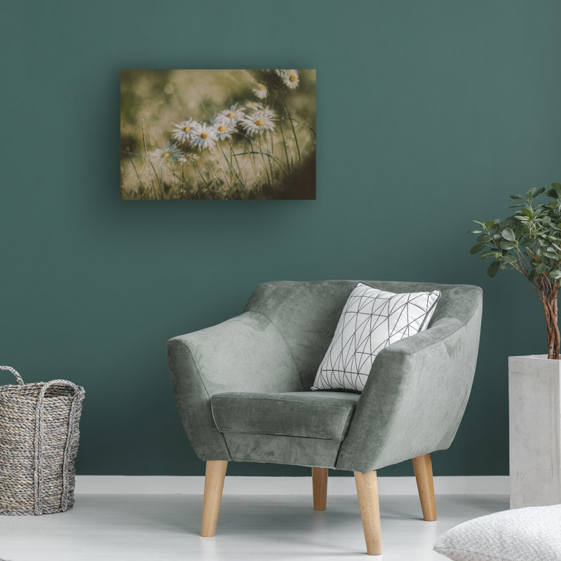 Art sur toile «Bachelor Youngil Kim Daisies In Early Morning», H 12 po x l 19 po