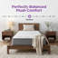  Matelas hybride ferme 10 "/ 12" / 14 "- Wayfair-123514114-20292870