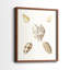 Pastel Knorr Shells VI - reproduction encadrée de qualité supérieure - prête à être accrochée - aucun clou requis - aucun clou requis-171660191-171660164
