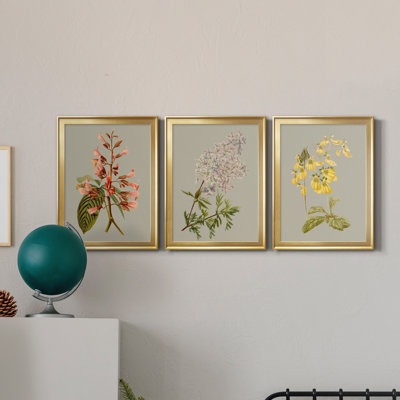 «Botanical Array I», ensemble de 3 impressions sur toile encadrées