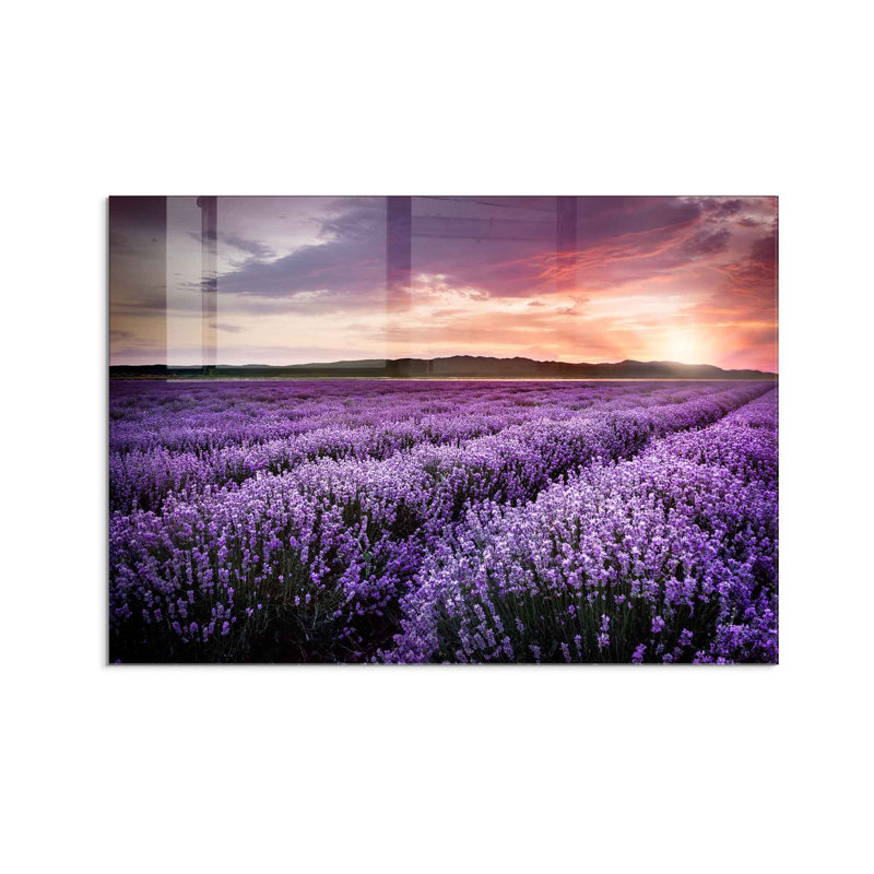 Élégante peinture décorative en verre trempé de 19,7 po x 27,6 po | 100% verre trempé, épaisseur: 0,16 pouce | Parfait pour la décoration intérieure, le salon et le bureau | Superbe œuvre d'art avec une esthétique moderne