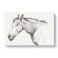 The Head of a Horse by Jean Bernard - Wrapped Canvas Drawing - Wrapped Canvas-55358408