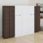 Grande armoire escamotable pliable avec lit escamotable et bibliothèque, lit escamotable en bois avec tablettes de rangement pour adultes-121038390