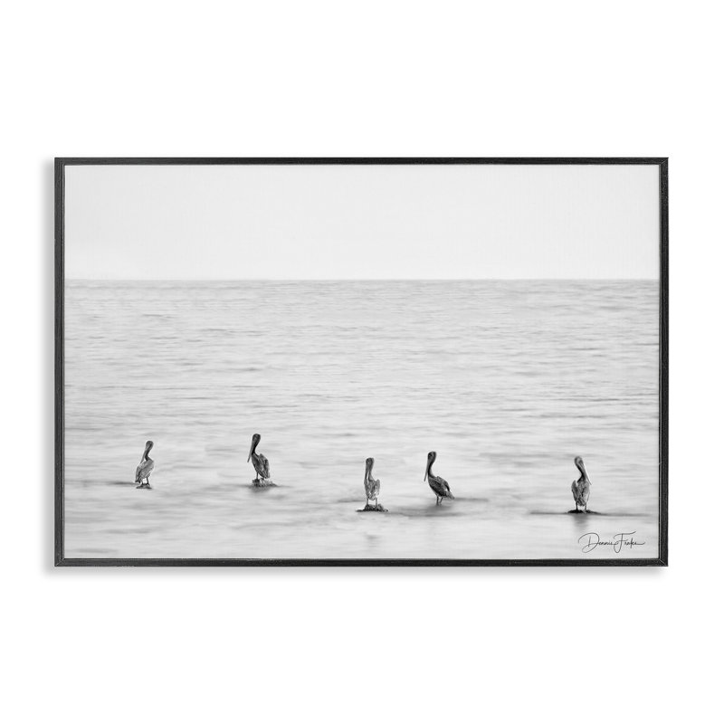 Pelicans on Shore, art de la giclée encadrée par Dennis Frates, Giclée encadrée noir minuit, H 12 po x l 18 po