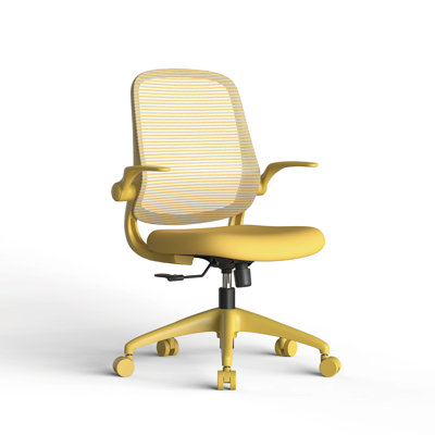 Chaise de bureau ergonomique colorée 350LBS