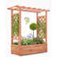 Wooden Elevated Garden Planter With Trellis