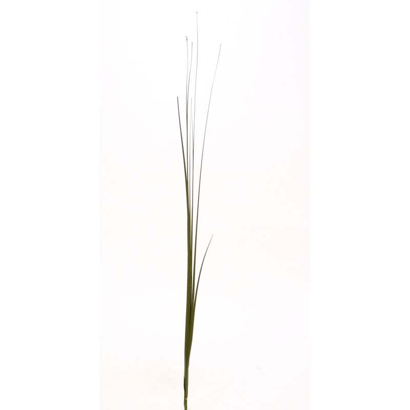 Arrangement
