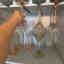 Photos des clients 1 de 3