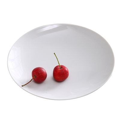 Assiette plate 10 "Abco