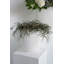 Elma Handmade Ceramic Table Vase-1283018991-1283018987