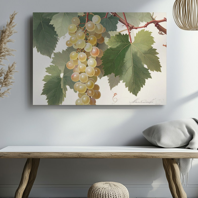 Art mural rétro sur toile de raisin blanc botanique rétro, H 9 po x l 12 po