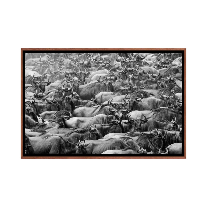 Wildbeests by Torsteinn H. Ingibergsson - Floater Frame Print on Canvas, Brown Floater Frame, 66.04 cm H x 45.72 cm W
