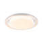 Plastic Flush Ceiling Light