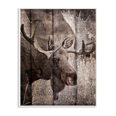 " Brown Moose Planked Look Photography " by Kimberly Allen