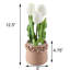 Centre de table tulipes en pot