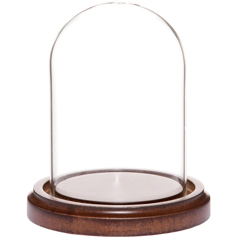 Cloche en verre 3 "x 4" Vucciria, Base en bois aggloméré noyer