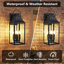 Applique murale d'extérieur à 4 lumières 22,6 "de haut H 22,6" avec verre transparent-256878901-256878896