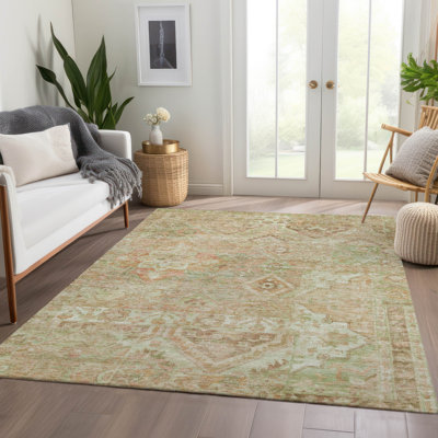 Machine Washable Indoor/Outdoor Cinead ACN1664 Salmon Rug