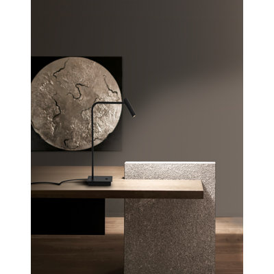 Metal Desk Lamp