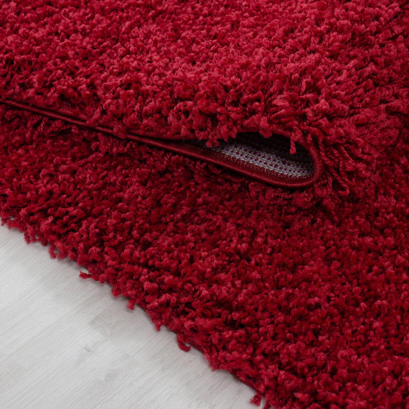 Adavia Shag Area Rug, Rectangle 160 x 230cm