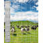 Gate Fencing-128800461