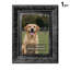 Cadre photo sophistiqué noir 1PC 11 "x 14" avec cadre PS léger-1982933281-1982933308-1982933310