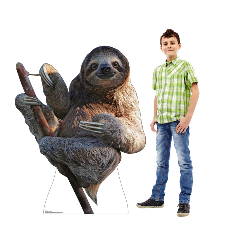 48'' Realistic Sloth Cardboard Stand-Up Decor