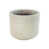 Blanc lait est en rupture de stock