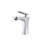 Robinet de salle de bain luxueux