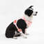 Harnais pour animal de compagnie Arlo-112400937-128618013