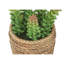 Plante artificielle