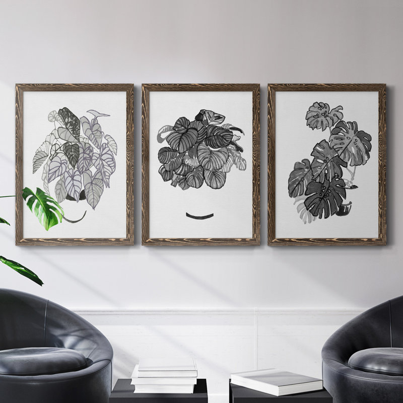 B&W d'intérieur plante I - ensemble de 3 peintures sur toile encadrées, H 43,5 po x l 31,5 po x P 1 po, Noyer