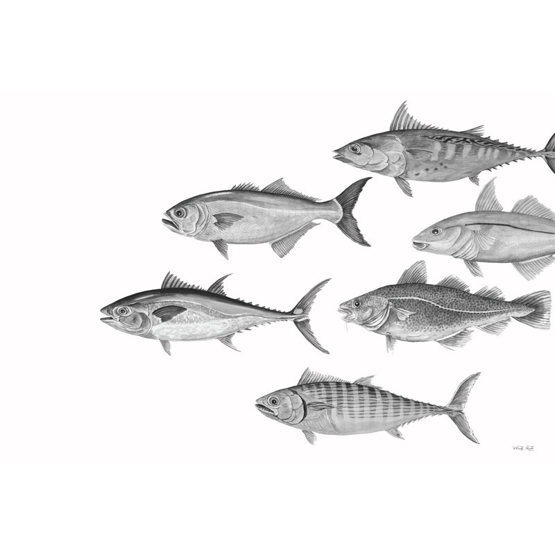 Variété de poisson II 2886533, H 32 po x l 48 po, Imprimé à cadre argenté, Non