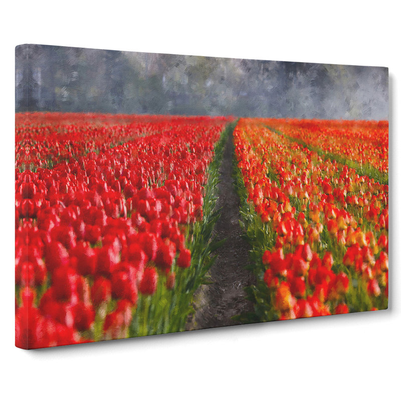 Field Of Tulips - Wrapped Canvas, 40cm H x 60cm W x 3cm D