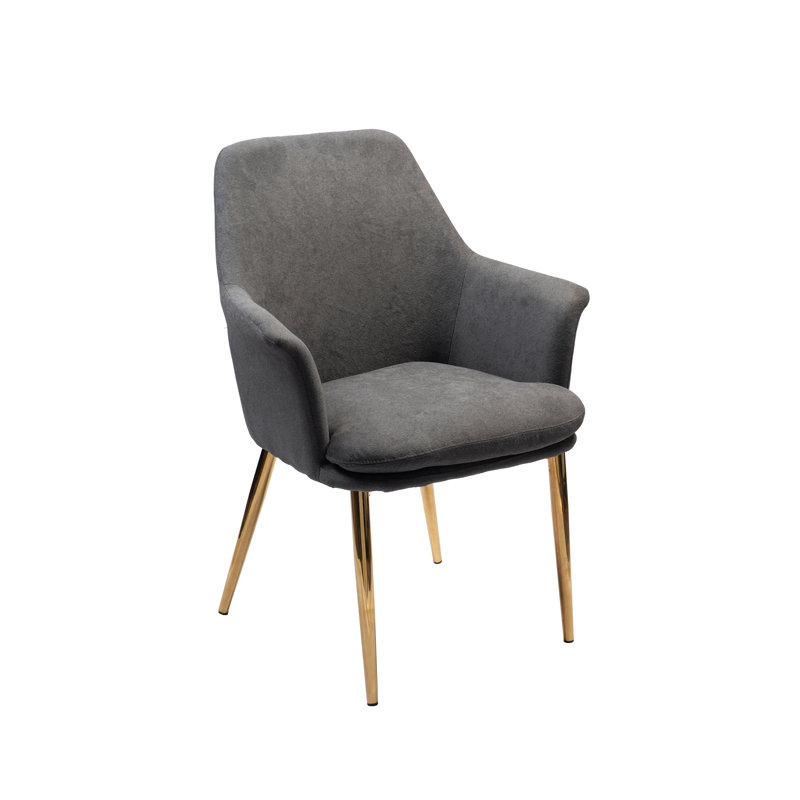 46.5cm H Velvet Upholstered Armchair in Grey, Dark Grey