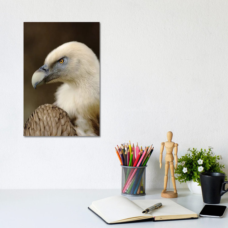 Griffon V 1 Piece Wrapped Canvas Wall Art, 20.32 cm H x 30.48 cm W