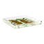 Leopard Seeing Double Acrylic Square Decorative Tray-1025522550-1025522551