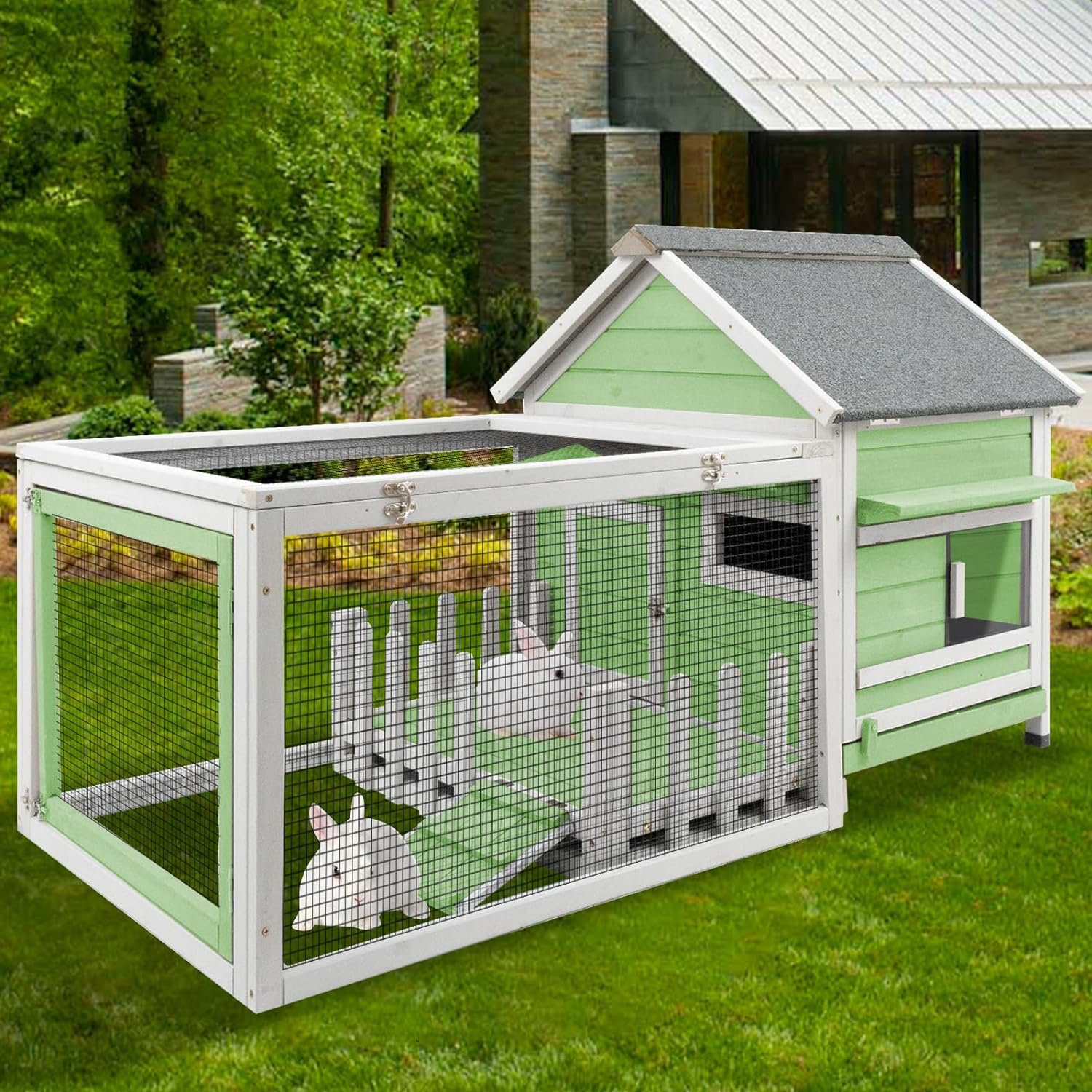 Wayfair 2025 rabbit hutch