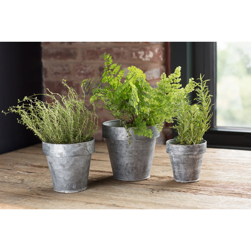 Pot de fleurs en zinc Sanjuana, H 5,5 po x l 5,5 po x P 5,5 po
