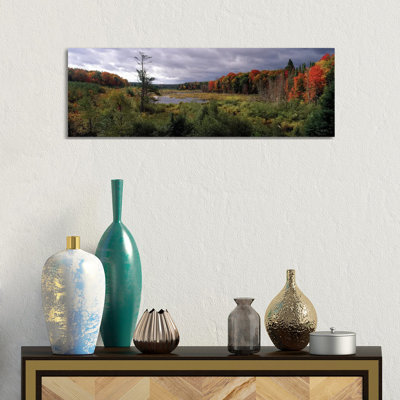 Trees in a Forest, Ottawa National Forest, North Woods, Upper Peninsula, Michigan, USA 1 Piece Wrapped Canvas Panoramic Wall Art