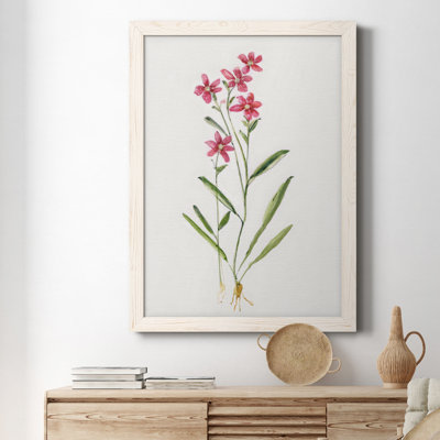 Toile encadrée délicate rose II - de qualité supérieure - prête à être accrochée