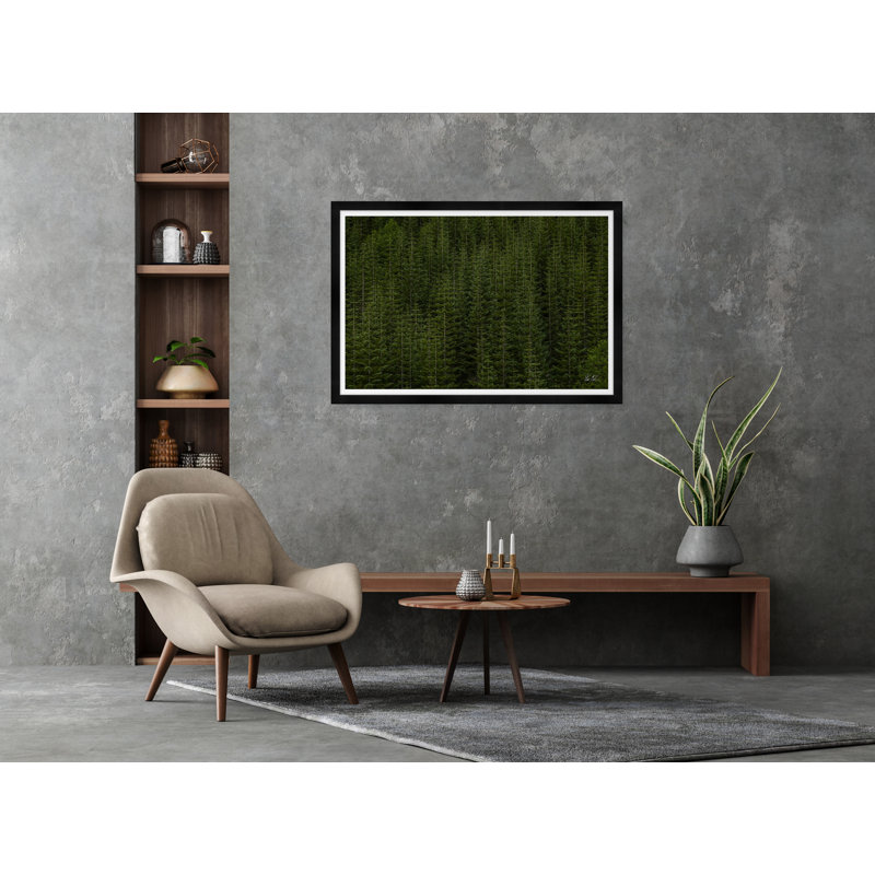 Among Static Pines Ii Print by Tim Klein