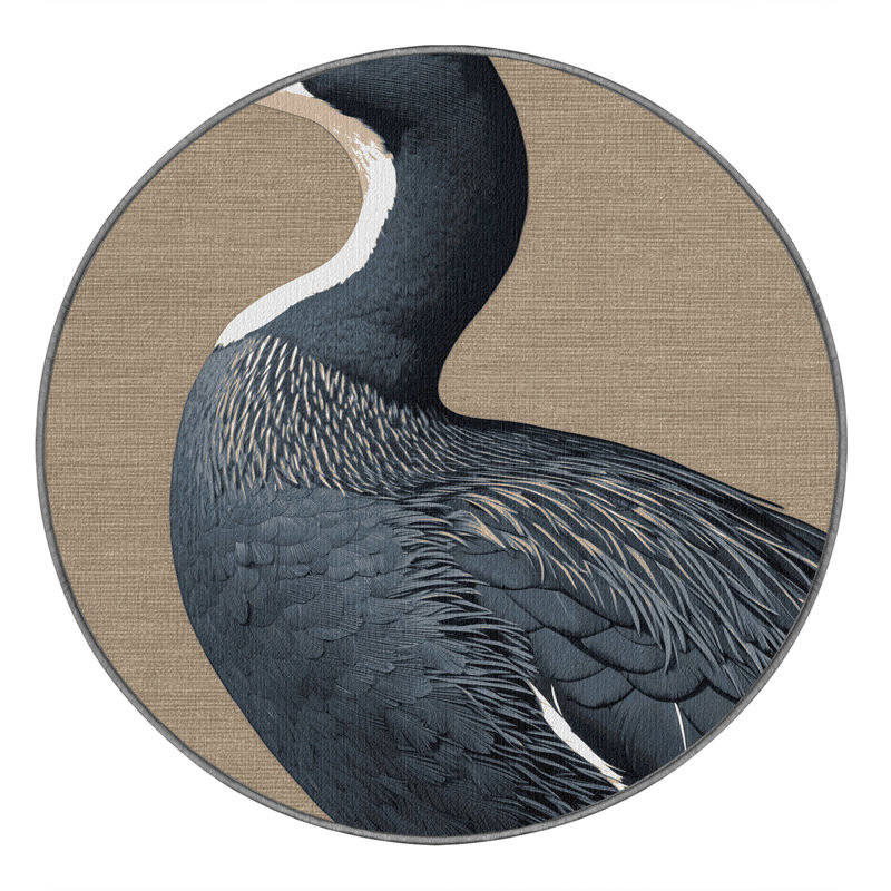  Tapis lavable American Coot Birds, Rond 6 pi