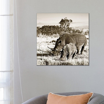 Bonded Rhino by Klaus Tiedge - Print on Canvas