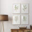 Simple Sprig I - ensemble de 4 reproductions de cadres photo-2075732640-2075732641